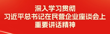 深入學(xué)習(xí)貫徹習(xí)近平總書記在民營企業(yè)座談會(huì)上重要講話精神