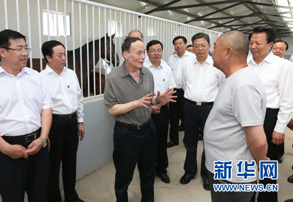 這是7月3日，王岐山在錫林浩特市義合良種馬繁育基地考察。新華社記者 龐興雷 攝