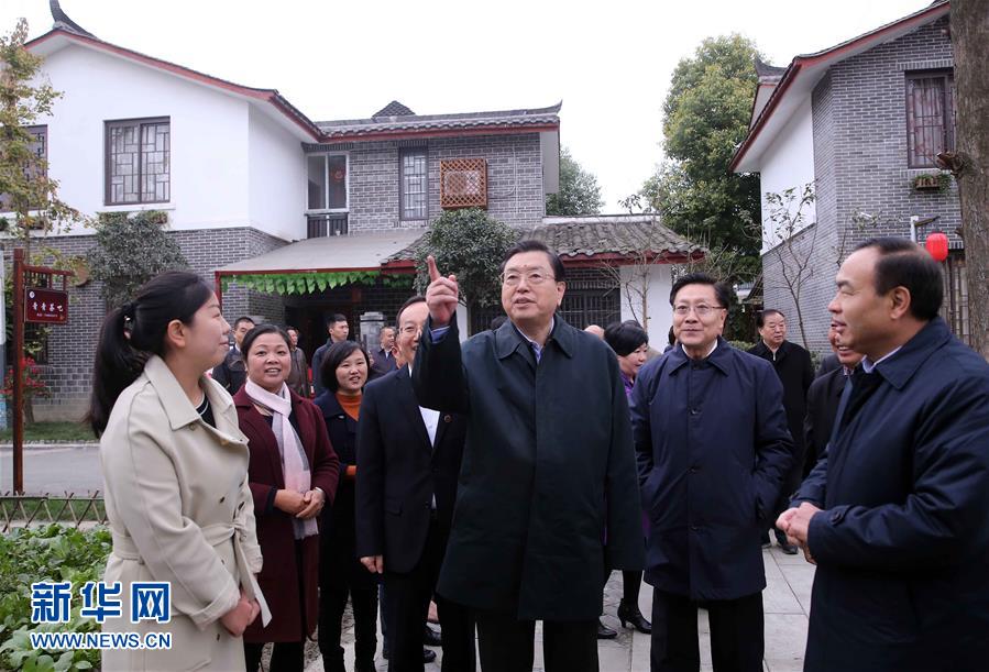 這是11月22日，張德江來到成都郫縣青杠樹村，了解村民委員會工作情況。 新華社記者 劉衛兵 攝 