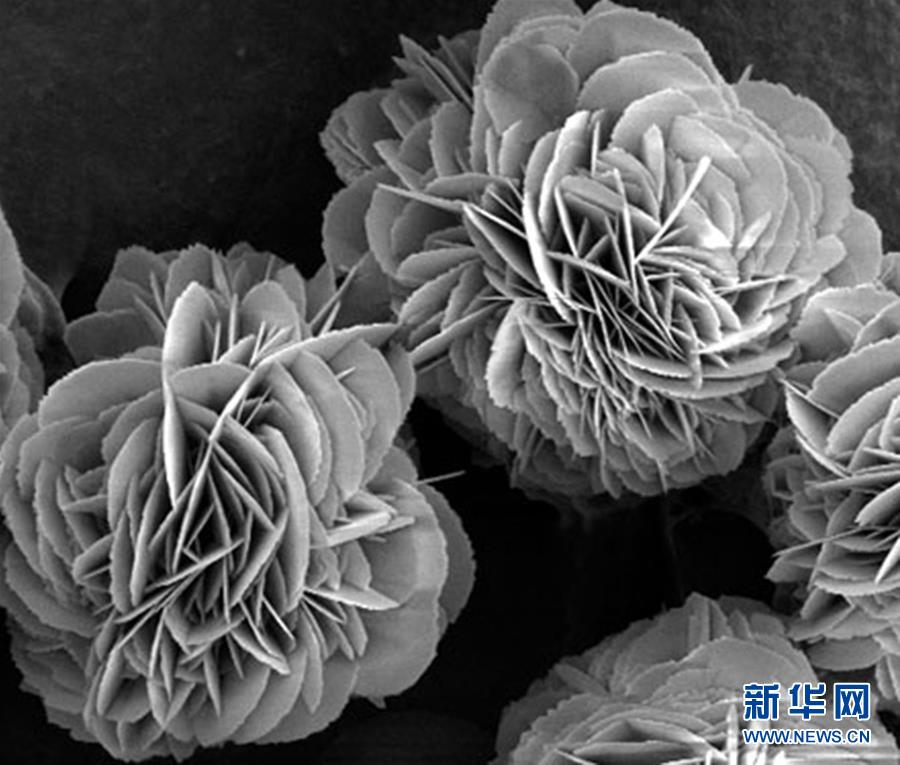 （新時代奮斗者·圖文互動）（3）“美麗發(fā)現”之路——記青年化學家戈鈞