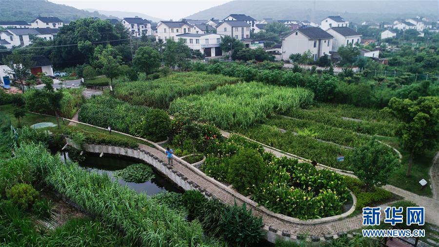 （在習(xí)近平新時代中國特色社會主義思想指引下——新時代新作為新篇章·圖文互動）（1）稀奇！治污濕地成了休閑公園——江蘇蘇州全域推進農(nóng)村生活污水治理