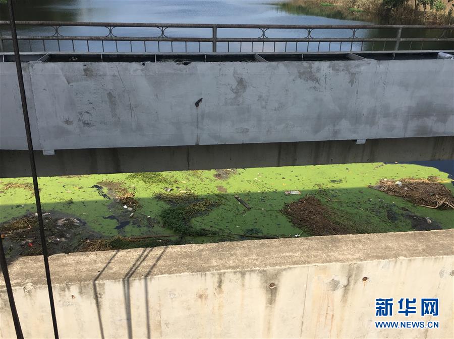 （新華視點(diǎn)·圖文互動(dòng)）（2）上游洪水來(lái)襲下游魚(yú)蟹死亡，泄洪為何變泄污？