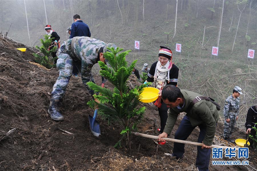 （圖文互動(dòng)）（6）和平年代，離死神最近的人——南部戰(zhàn)區(qū)陸軍云南掃雷大隊(duì)邊境掃雷排爆記事