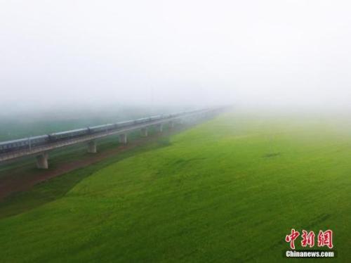 資料圖：動(dòng)車組穿越雨霧中的油菜花海宛若穿越時(shí)空。 楊艷敏 攝