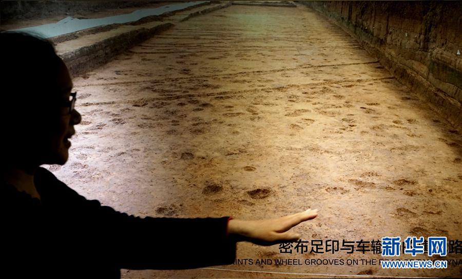 （新華全媒頭條·圖文互動）（6）“若問古今興廢事，請君只看洛陽城”——千年古都“烹制”博物館盛宴