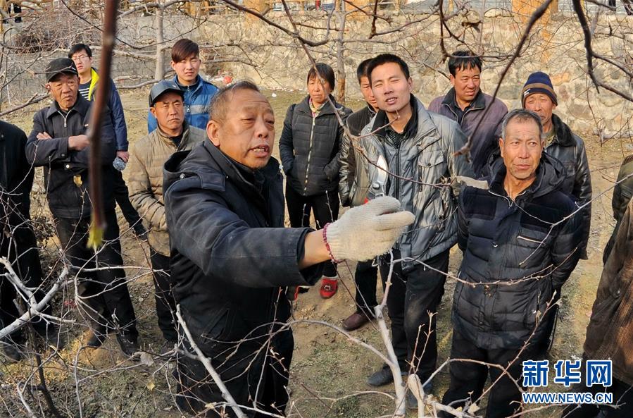 （新華全媒頭條·圖文互動）（8）鍛造領航復興的中流砥柱——寫在“不忘初心、牢記使命”主題教育即將啟動之際