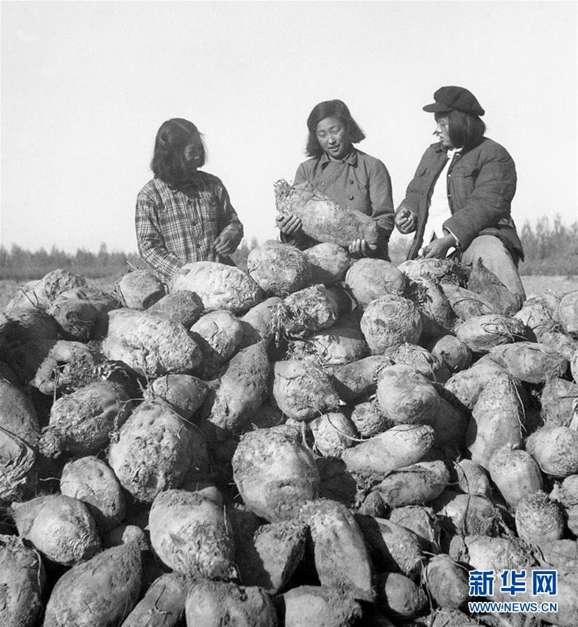 （圖文互動）（2）為了“中國號”巨輪揚帆遠航——中國共產(chǎn)黨領導下的人民軍隊忠于祖國、服務人民啟示錄