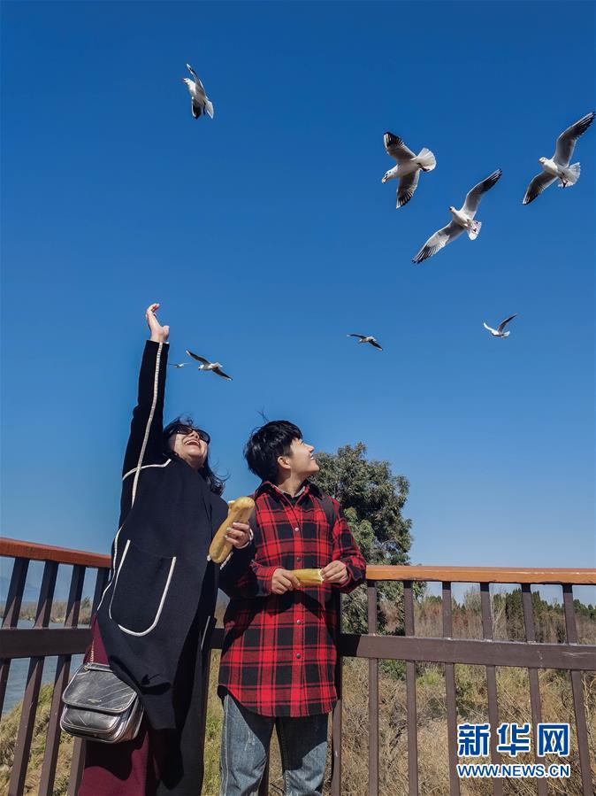 （一線抗疫群英譜·圖文互動）（1）大學生志愿者譚藝西：在武漢，我和媽媽共戰(zhàn)“疫”