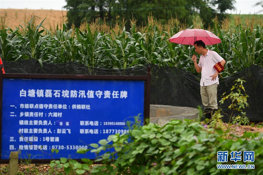 （防汛抗洪·圖文互動(dòng)）（1）“險(xiǎn)情不可怕，可怕的是不能及時(shí)發(fā)現(xiàn)險(xiǎn)情”——洞庭湖巡堤查險(xiǎn)現(xiàn)場(chǎng)直擊