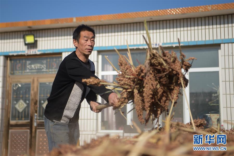 （全面建成小康社會“百城千縣萬村”調研行·圖文互動）（1）互助互利，小甘薯帶來甜蜜日子——內蒙古奈曼旗互利村闖出產業致富之路