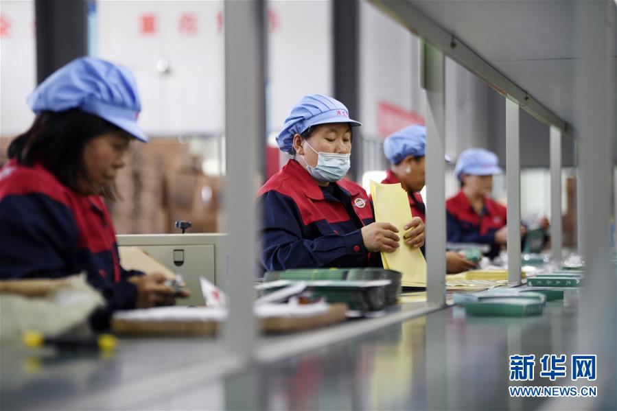 （在習近平新時代中國特色社會主義思想指引下——新時代新作為新篇章·習近平總書記關切事·圖文互動）（1）“綠色銀行”發(fā)工資、“股東”分紅來敲門……——探索長效脫貧致富新機制見聞