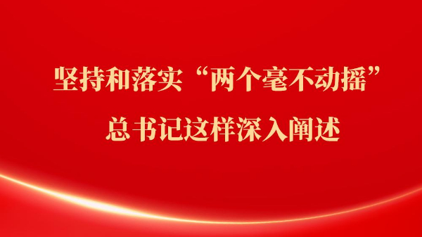 堅持和落實“兩個毫不動搖”，總書記這樣深入闡述