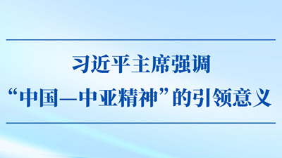 習近平主席強調“中國—中亞精神”的引領意義