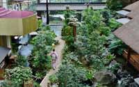 震撼！日本最豪華的廁所（組圖）