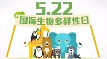 國際生物多樣性日：讓每個(gè)人從點(diǎn)滴做起