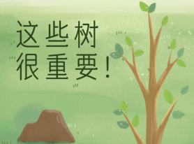 這些樹很重要！