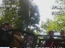 “五一”去哪？：動物不喜歡的“美食節”