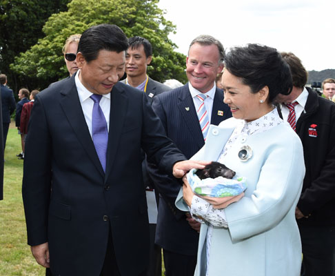 11月18日，國(guó)家主席習(xí)近平在澳大利亞塔斯馬尼亞州與朗塞斯頓市斯科奇－歐克伯恩小學(xué)的小學(xué)生共同植樹(shù)。這是習(xí)近平和夫人彭麗媛植樹(shù)后撫摸袋獾。新華社記者 馬占成 攝