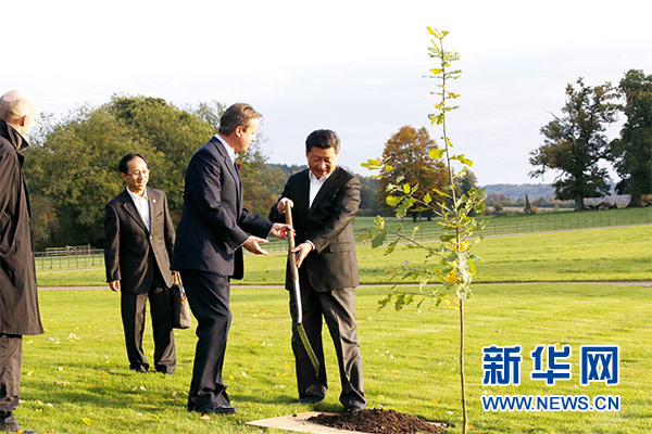 兩國領導人一同在別墅草坪，共同種下象征中英友誼的橡樹。新華社記者 鞠鵬 攝